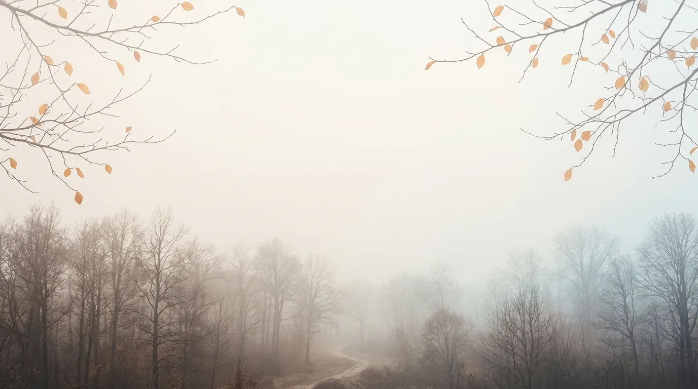 November Forest